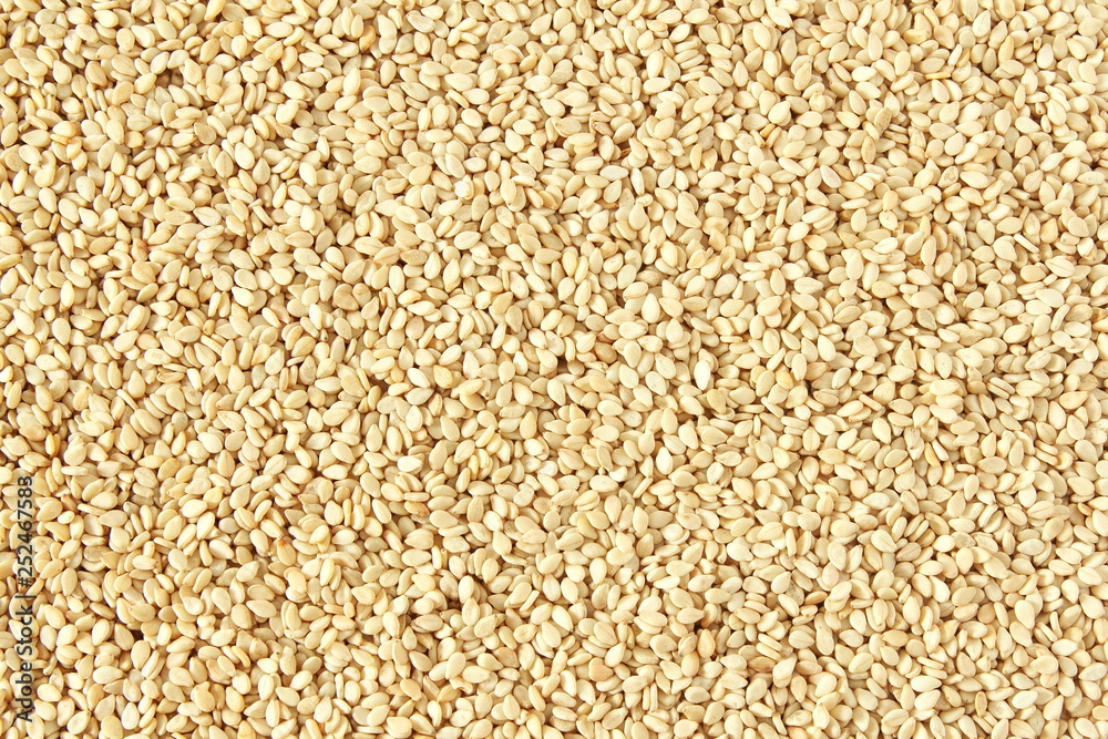 sesame Sesamum indicum or til seeds as food texture background sesame Sesamum indicum or til seeds as food texture background