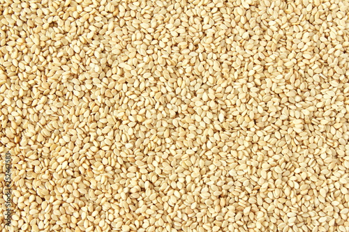 sesame Sesamum indicum or til seeds as  food texture background photo