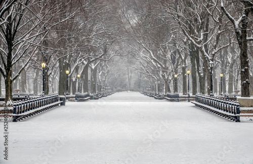 Canvas Central Park, New York City in winter