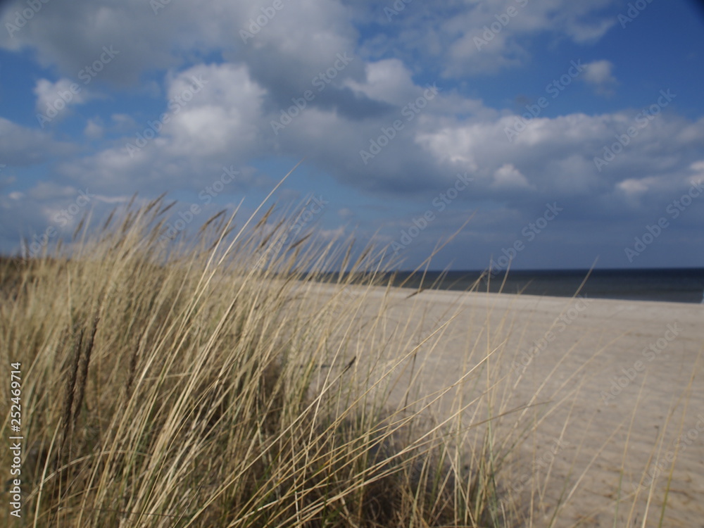 Fototapeta premium OLYMPUS DIGITAL CAMERA