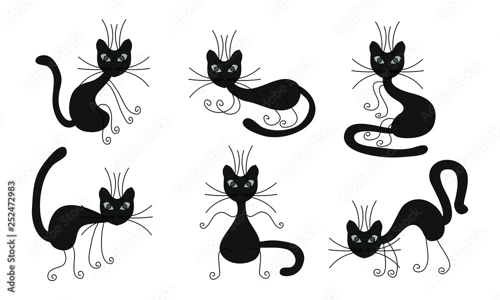  Cool funny dark gray cat in six different poses