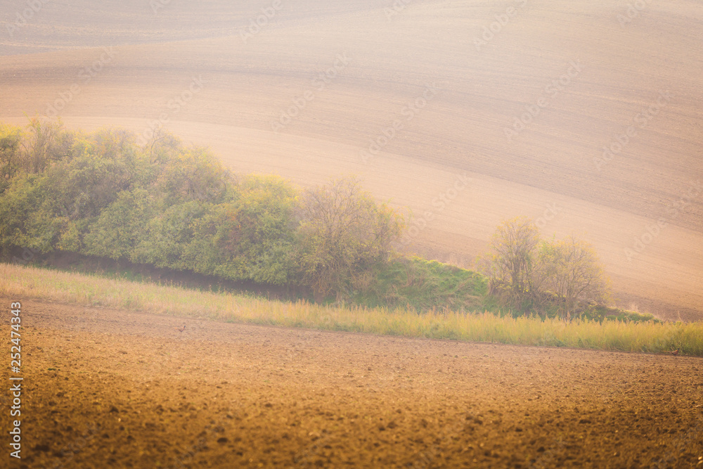 Wavy  autumn fields in Moravian Tuscany, Czech Republic