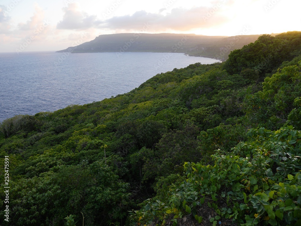 Lush forests overlooking the bay at the Bird Sanctuary on Rota, Northern Mariana Island