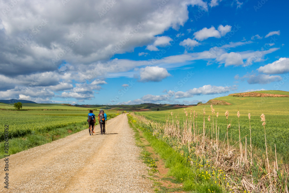 Rear view of pilgrims on an unpaved country road on the Way of St. James, Camino de Santiago between Azofra and Ciruena in La Rioja, Spain under a beautiful May sky Rear view of pilgrims on an unpaved country road on the Way of St. James, Camino de Santiago between Azofra and Ciruena in La Rioja, Spain under a beautiful May sky