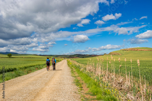 Rear view of pilgrims on an unpaved country road on the Way of St. James, Camino de Santiago between Azofra and Ciruena in La Rioja, Spain under a beautiful May sky