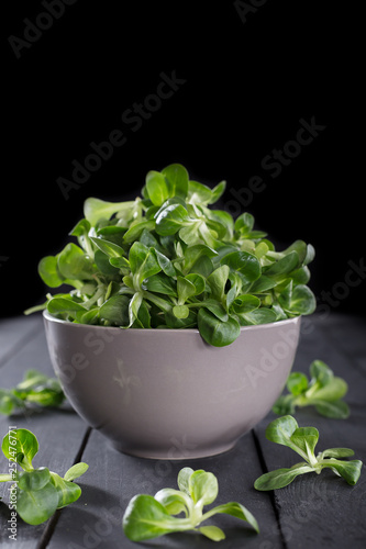 Valerian salad in bowl on the wodden background