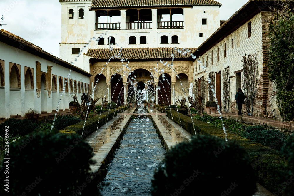 Fototapeta premium jardin del agua