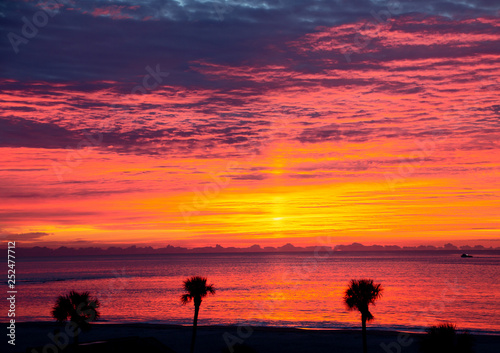A brilliant sunrise off the coast of Georgia with Palm Trees in Silhouette