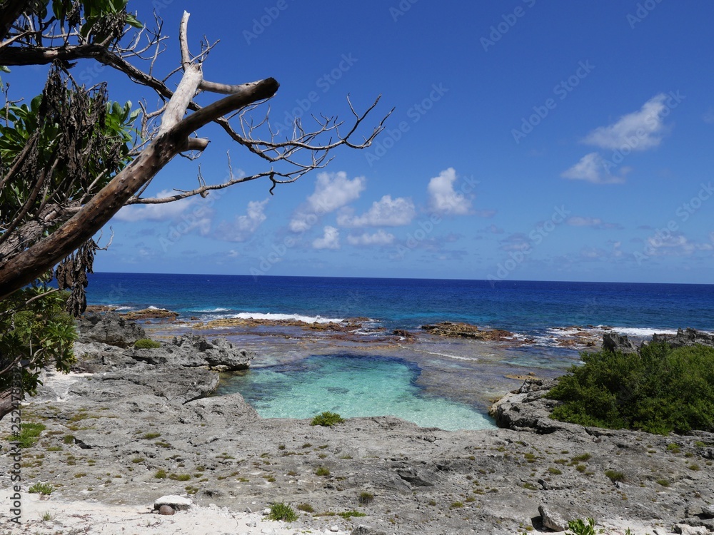 Wide angle shot of the swimming hole with leafless branches from a tree  on Rota, an island in the Northern Mariana Islands.