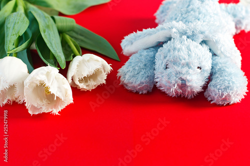 Flowers March 8th. Women's Day. Congratulation. Spring. Spring flowers. Tulips. Gift