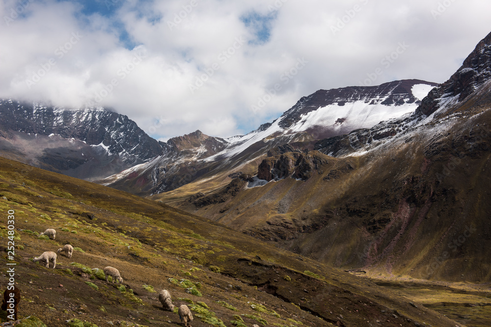 Fototapeta premium hike to Vinicunca rainbow mountains in Peru