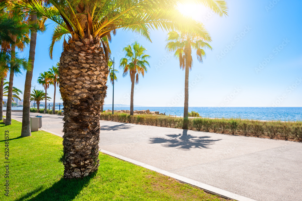 Beautiful sea promenade with palms in Limassol, Cyprus. - obrazy, fototapety, plakaty 