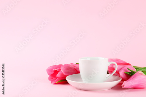 Fresh flower composition, bouquet of bi color tulips, pale pink and white gradient background. International Women's day, mother's day greeting concept. Copy space, close up, top view, flat lay.