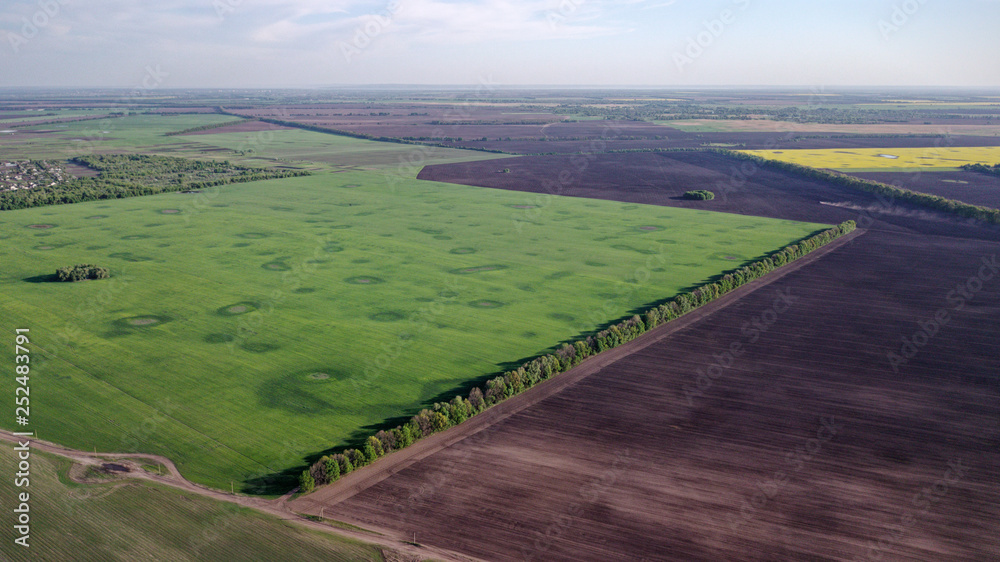 Plowed field is separated from the green field forest belt. View from above