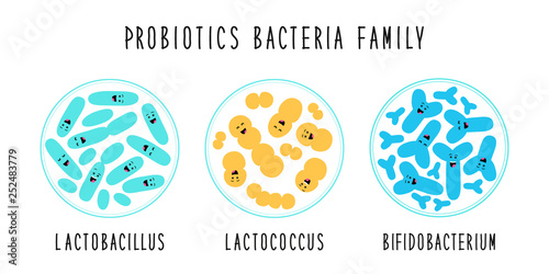 Funny probiotics bacteria family cartoon characters isolated on white, gut and intestinal flora, set in flat style photo