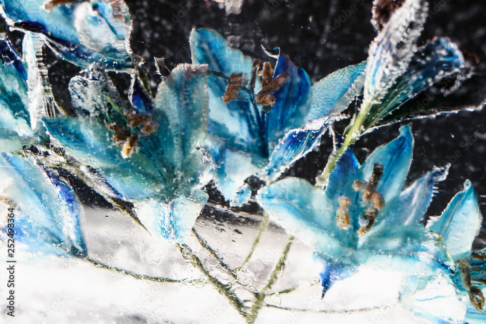 Frozen Flowers in Ice Cube