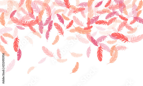Falling feather elements soft vector design.