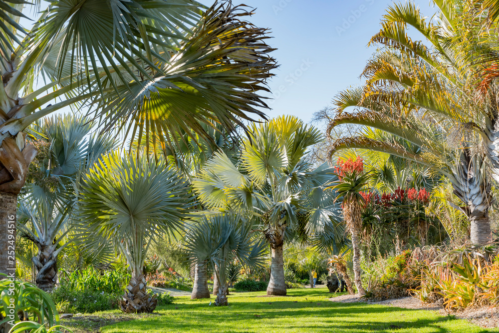 Obraz premium Nature landscape with trees