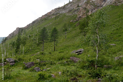 Mountain landscape by the river Chuya, Altai Republic, Siberia, Russia photo