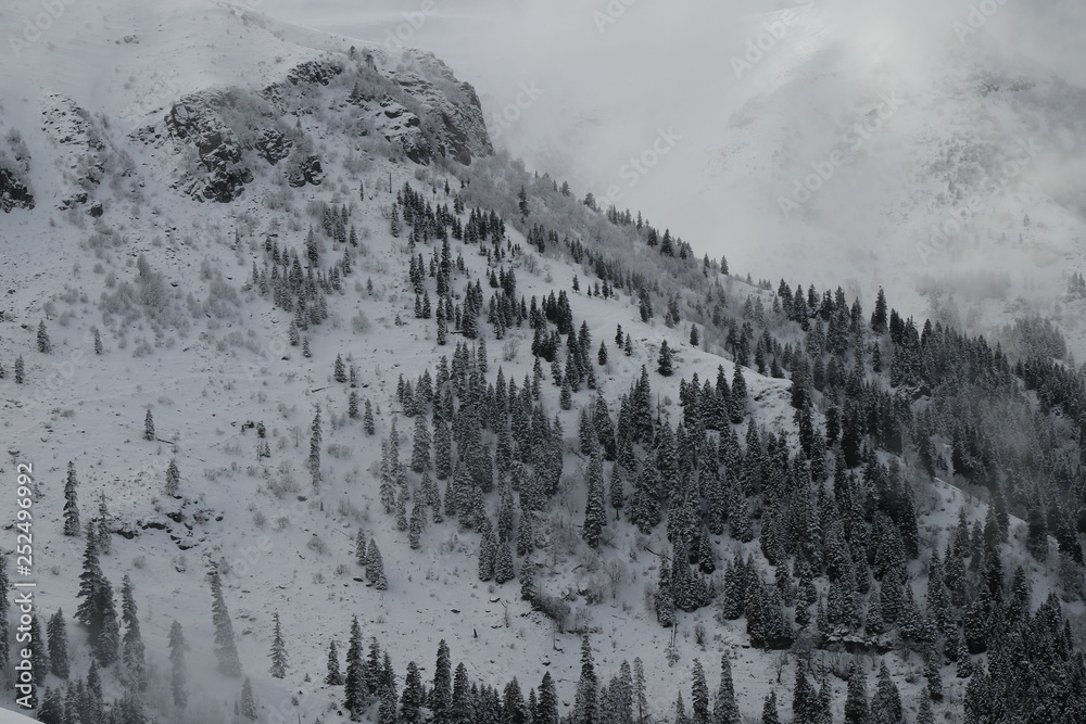 winter view karadeniz artvin /savsat/turkey