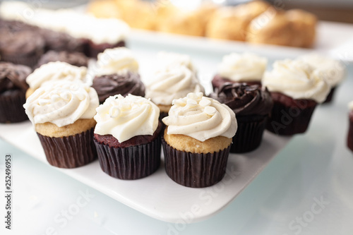 vanilla and chocolate mini cupcakes