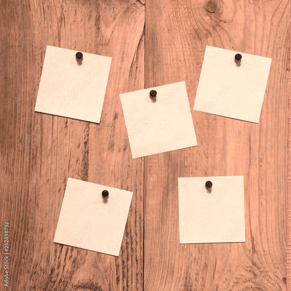 Five blank notes on wood panel attached by thumbtacks Five blank notes on wood panel attached by thumbtacks
