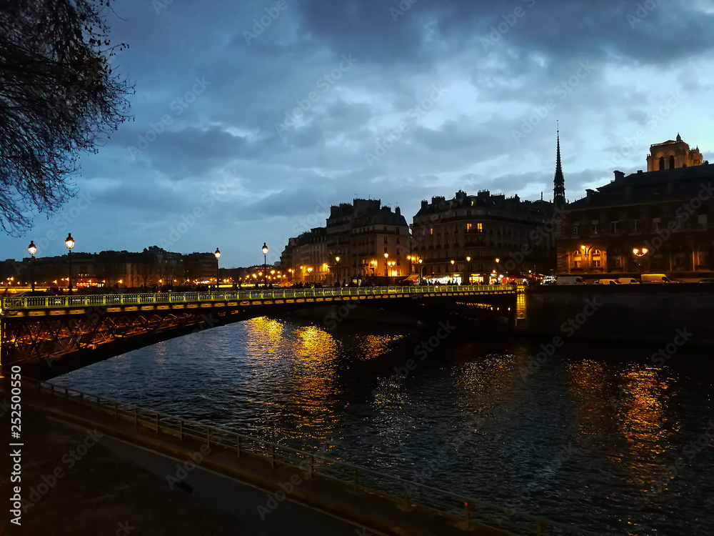 Fototapeta premium Landscape of the river Seine in Paris