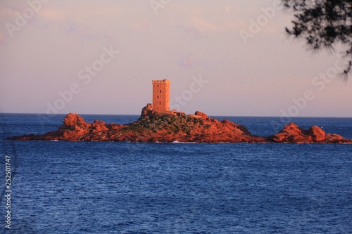 l'ile d'or dans l'Esterel photo