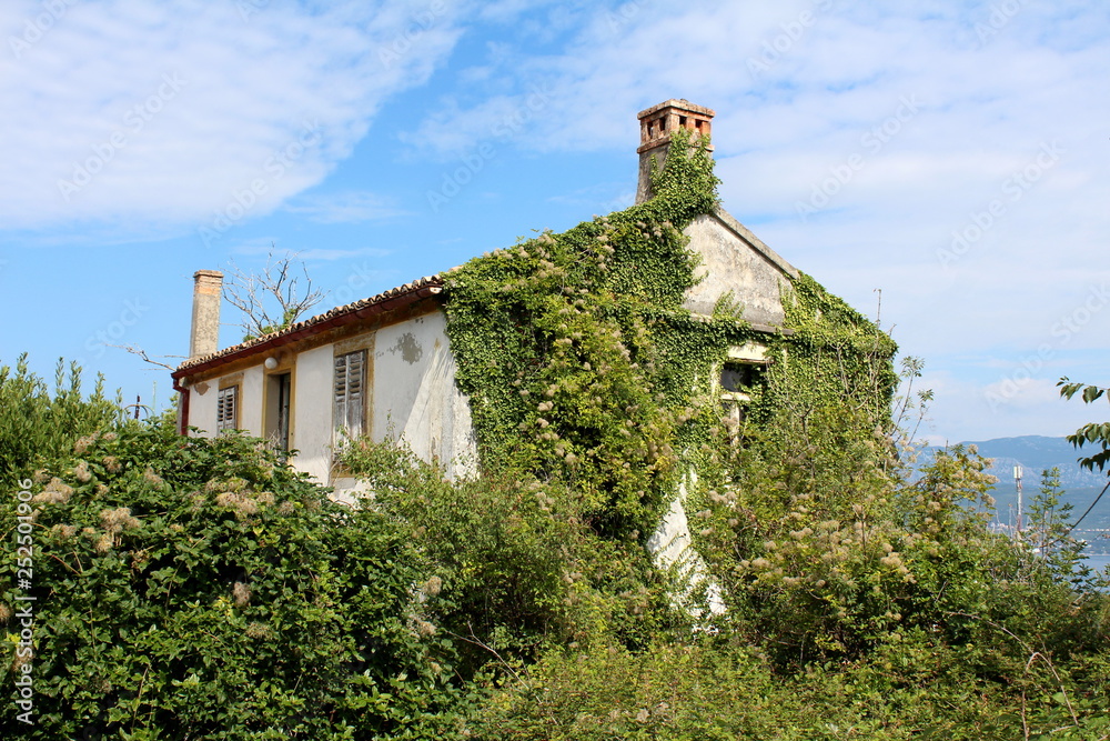 Almost completely overgrown abandoned family house covered with crawler plants and trees on cloudy blue sky background