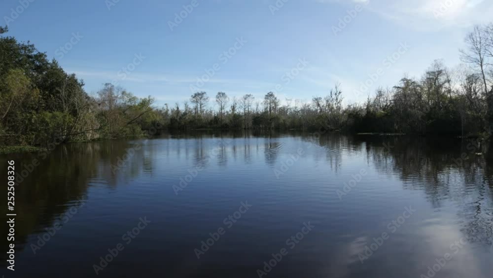 Moving shot along the swamps in New Orleans, Louisiana Moving shot along the swamps in New Orleans, Louisiana