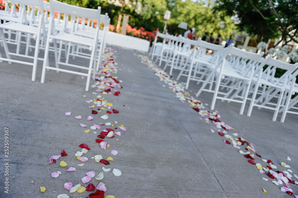 camino de pétalos de rosa para entrada de novios a ceremonia de boda foto  de Stock