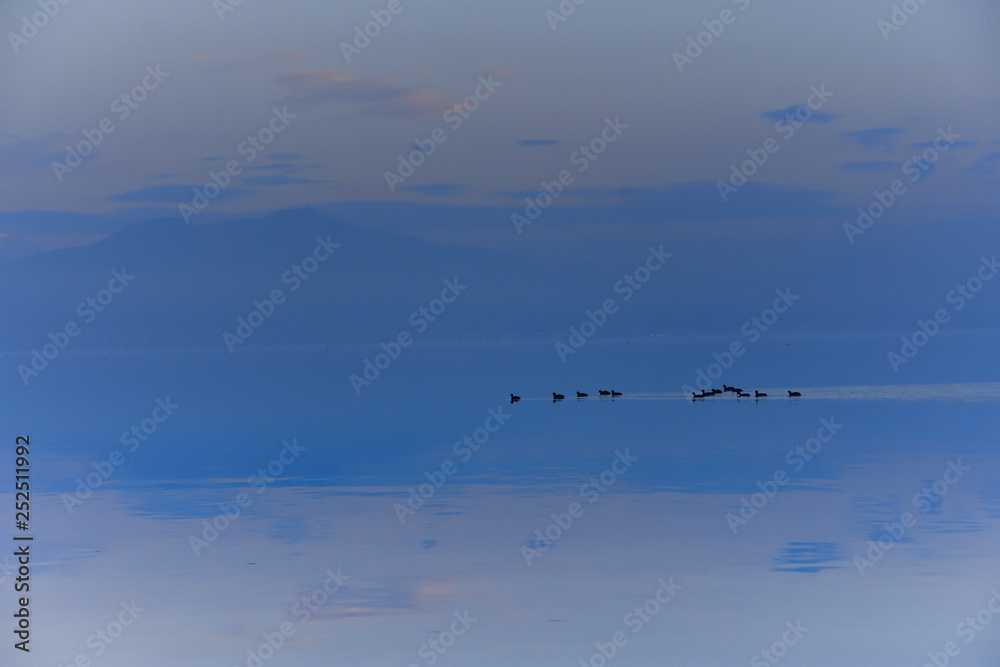Thessalonian Bay of Mediterranean Sea at sunset (blue, purple) with a flock of coots Thessalonian Bay of Mediterranean Sea at sunset (blue, purple) with a flock of coots