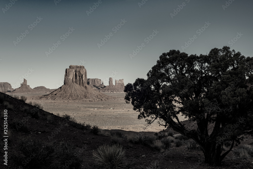 Unique view of Monument valley with tree in the shadows