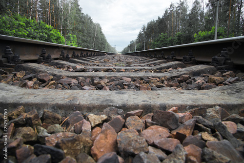 Rusty railroad with rocks in the forest under grey cloudy sky. Selective focus. photo