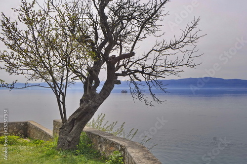 A View of Ohrid Lake, Macedonia © Nenad Basic