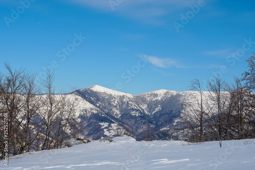 Mountain snowy idyll. © Miodrag
