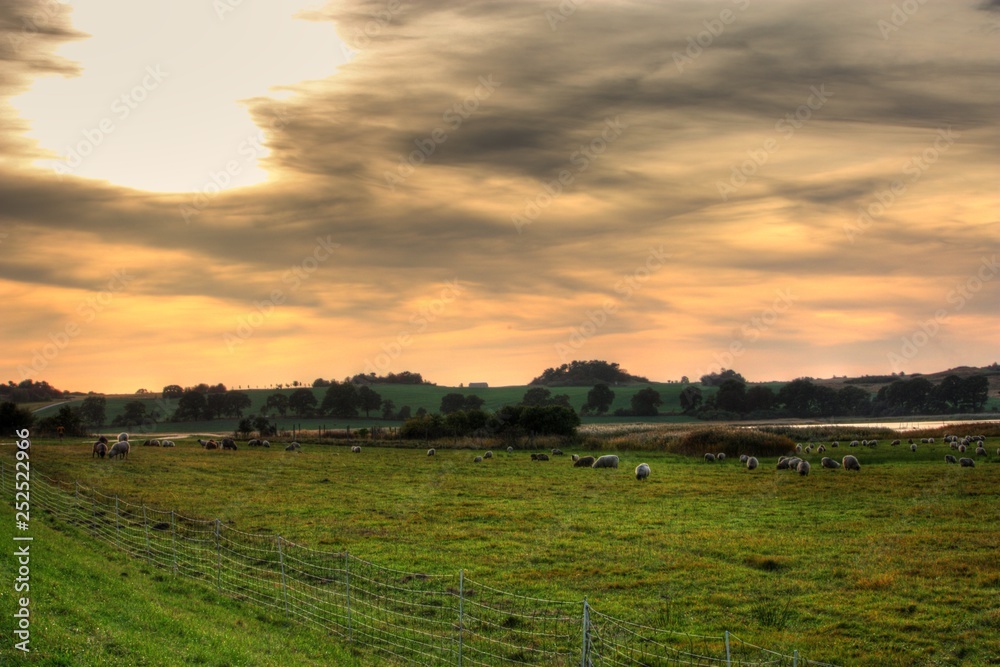 Landwirtschaft Grüne Wiese mit Schafen bei mystischem Sonnenuntergang