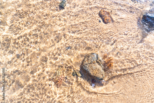 Rocks on the sand with water at the beach
