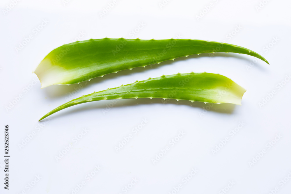 Aloe vera on white Aloe vera on white