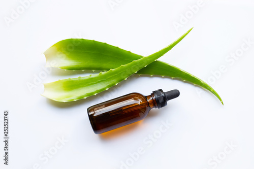 Aloe vera leaves with essential oil on white