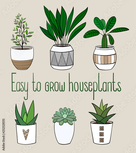 Set of different easy to grow house plants in planters with a handwriting caption. Vector illustration drawings of coloured indoor plants 