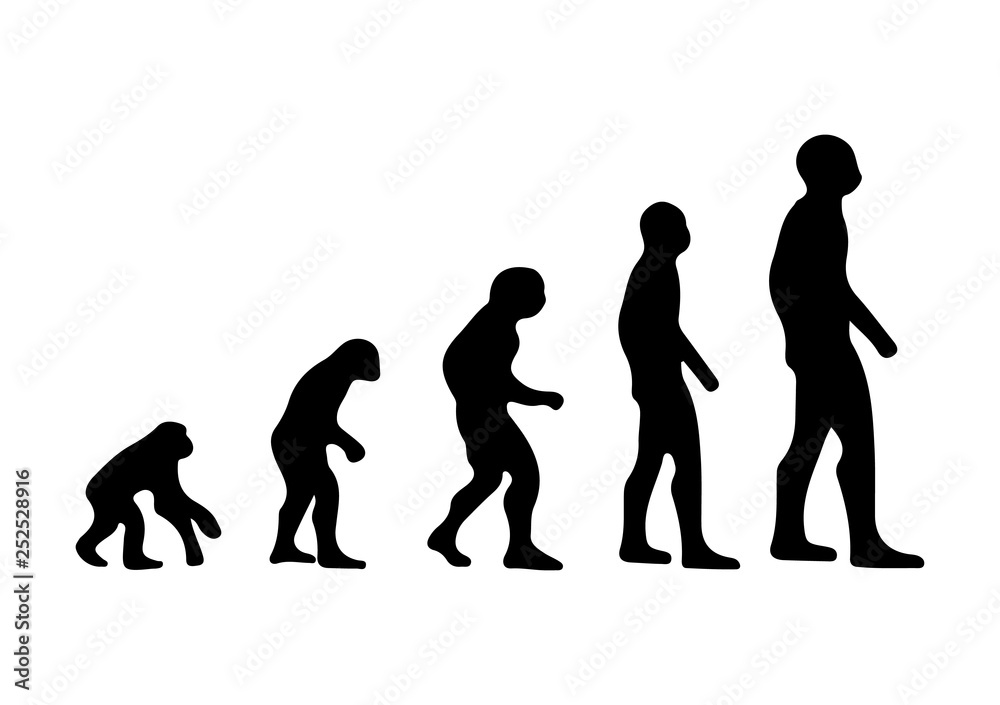silhouettes of human evolution