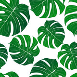 Abstract seamless pattern with green tropical monstera leaves. Vector element for design.