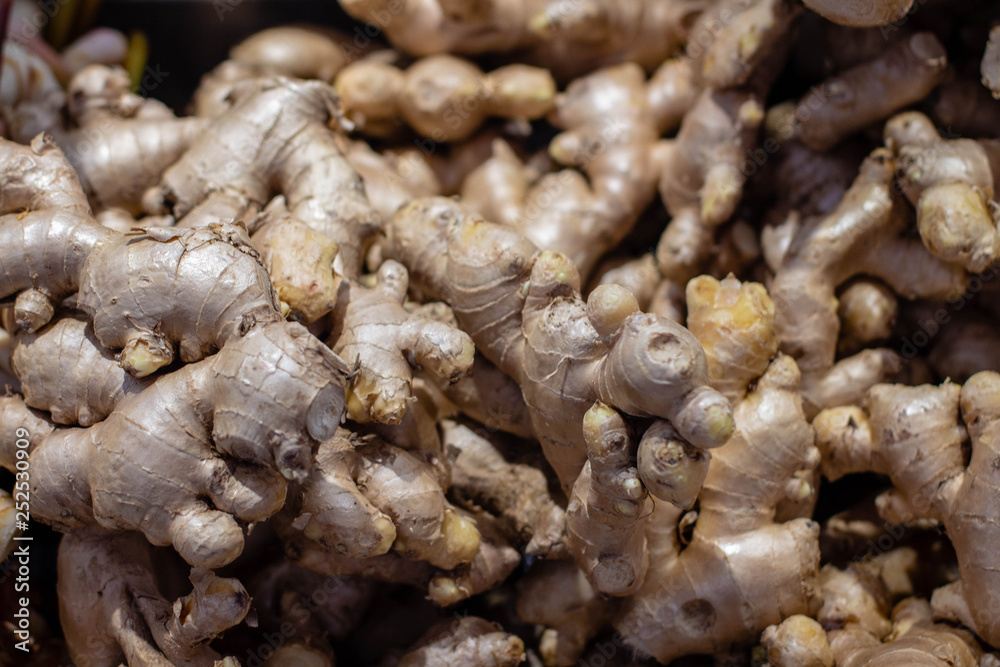 many ginger roots many ginger roots