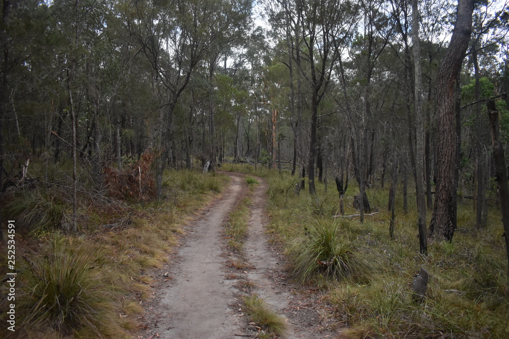 Bush Road Bush Road
