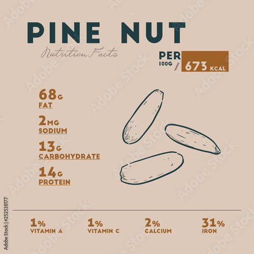 Nutrition facts of pine nut, hand draw sketch vector.