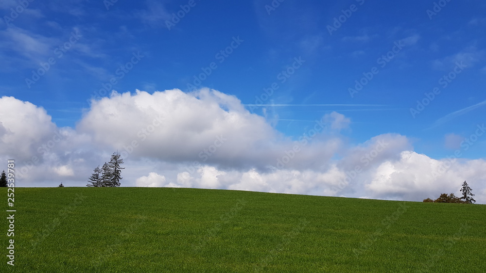 sky, grass, field, green, landscape, blue, meadow, clouds, Switzerland, nature, cloud, summer, horizon, spring, day, white, cloudy, agriculture, beautiful, land, weather, rural, hill, environment, sky, grass, field, green, landscape, blue, meadow, clouds, Switzerland, nature, cloud, summer, horizon, spring, day, white, cloudy, agriculture, beautiful, land, weather, rural, hill, environment,