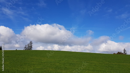 sky, grass, field, green, landscape, blue, meadow, clouds, Switzerland, nature, cloud, summer, horizon, spring, day, white, cloudy, agriculture, beautiful, land, weather, rural, hill, environment, 