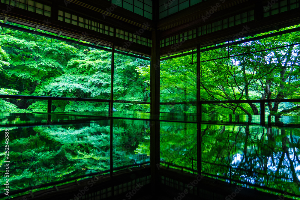 Naklejka premium 京都 瑠璃光院 逆さ新緑