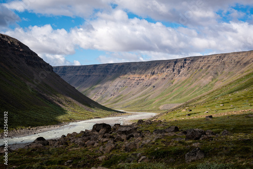 landscape in the mountains